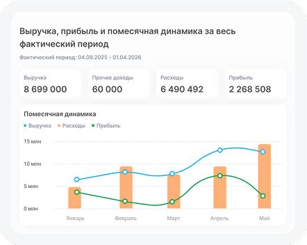 Дашборд с выручкой, прибылью и помесячной динамикой