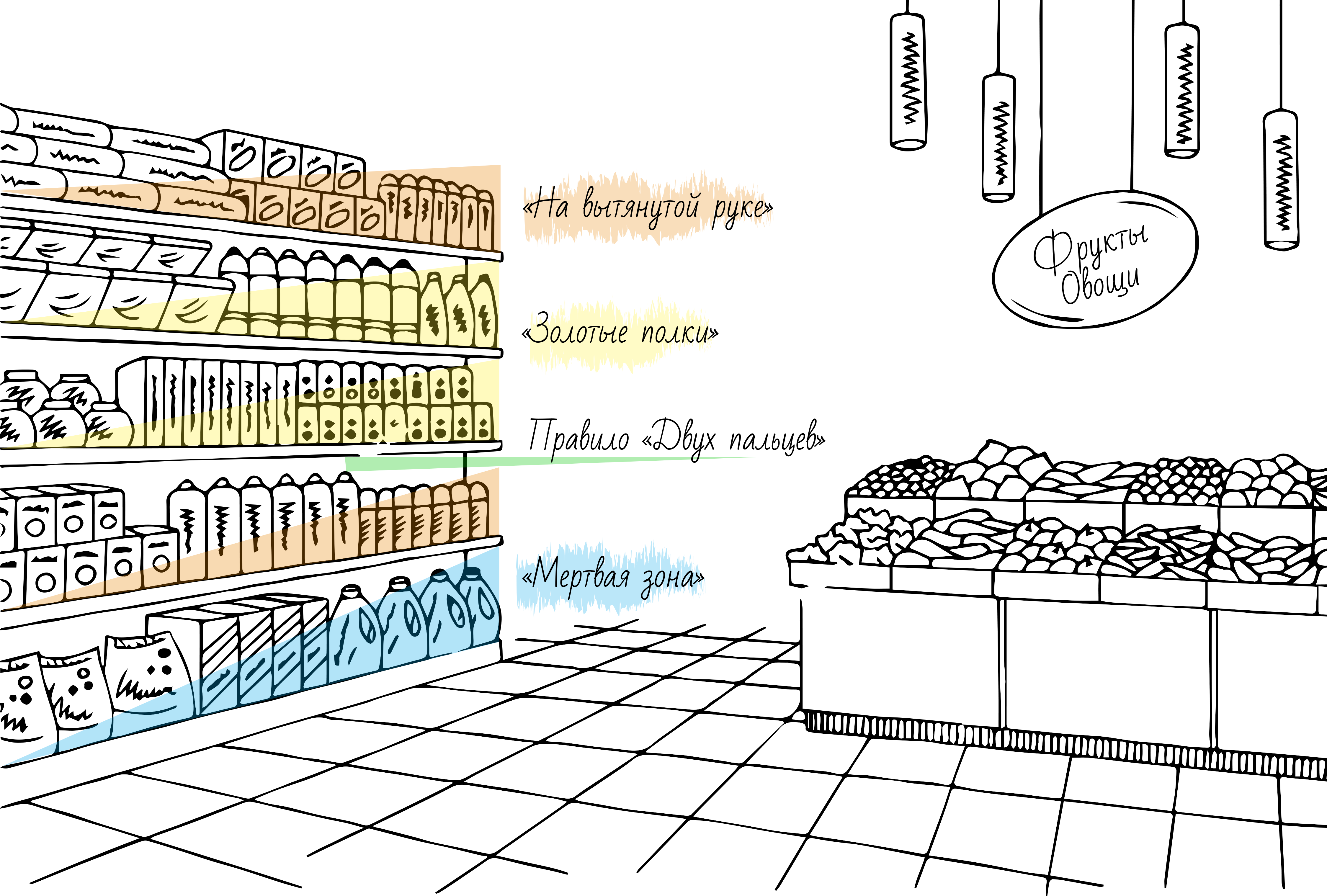 Мерчандайзинг магазина продуктов схема. Полки для выкладки товара. Выкладка товара на полках. Размещение и выкладка товаров. Правильный мерчандайзинг